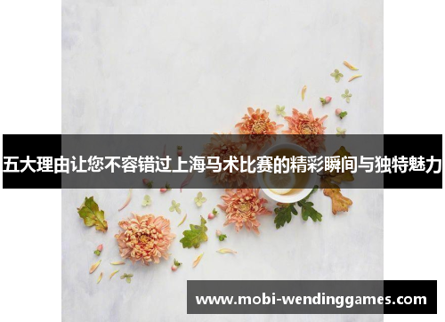 五大理由让您不容错过上海马术比赛的精彩瞬间与独特魅力