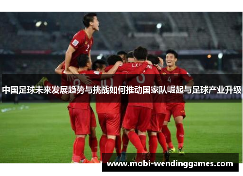 中国足球未来发展趋势与挑战如何推动国家队崛起与足球产业升级