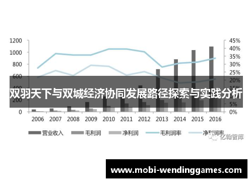 双羽天下与双城经济协同发展路径探索与实践分析