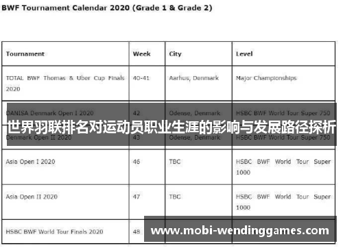 世界羽联排名对运动员职业生涯的影响与发展路径探析