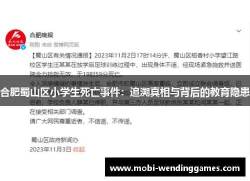 合肥蜀山区小学生死亡事件：追溯真相与背后的教育隐患