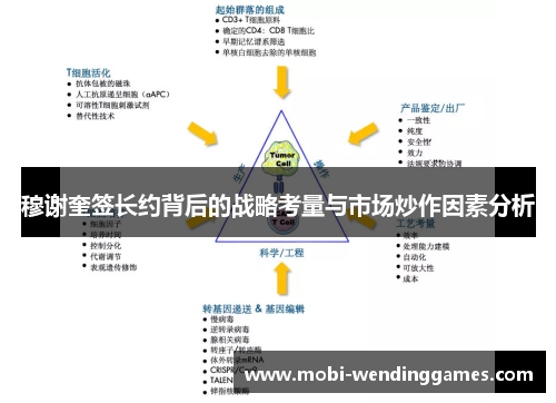 穆谢奎签长约背后的战略考量与市场炒作因素分析
