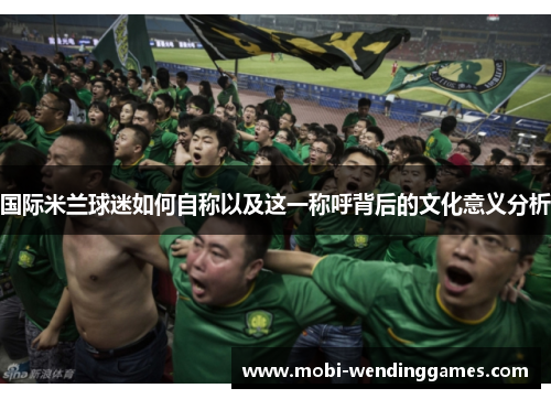 国际米兰球迷如何自称以及这一称呼背后的文化意义分析