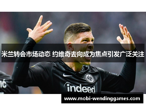 米兰转会市场动态 约维奇去向成为焦点引发广泛关注
