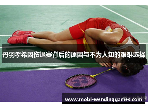 丹羽孝希因伤退赛背后的原因与不为人知的艰难选择