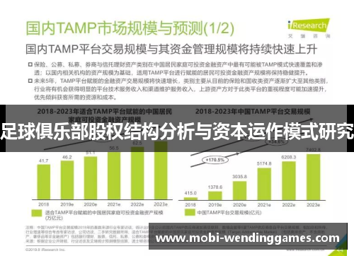 足球俱乐部股权结构分析与资本运作模式研究