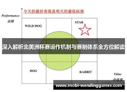深入解析北美洲杯赛运作机制与赛制体系全方位解读