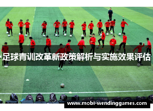 足球青训改革新政策解析与实施效果评估