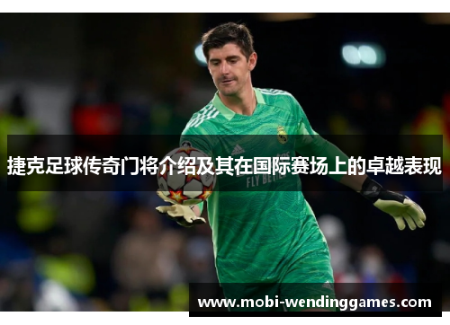 捷克足球传奇门将介绍及其在国际赛场上的卓越表现