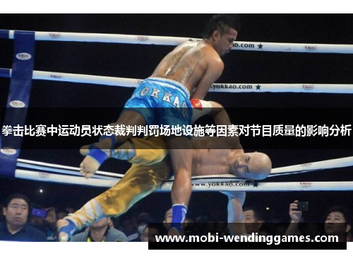 拳击比赛中运动员状态裁判判罚场地设施等因素对节目质量的影响分析 拳击比赛中运动员状态裁判判罚场地设施等因素对节目质量的影响分析