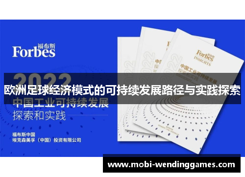 欧洲足球经济模式的可持续发展路径与实践探索
