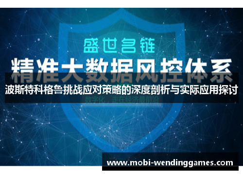 波斯特科格鲁挑战应对策略的深度剖析与实际应用探讨