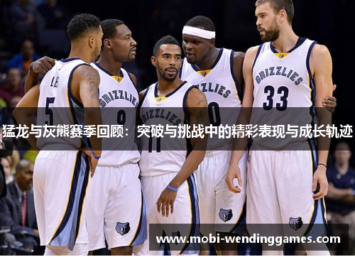 猛龙与灰熊赛季回顾：突破与挑战中的精彩表现与成长轨迹