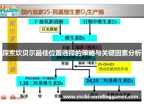 探索坎贝尔最佳位置选择的策略与关键因素分析